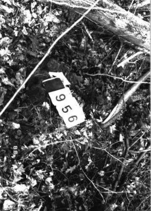 Grabstein 956