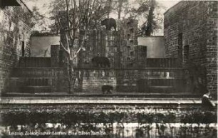 Leipzig: Zoologischer Garten ; eine Bären Familie