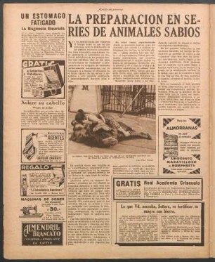 La preparación en series de animales sabios