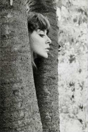Vali Myers, Paris-Clamart 1952