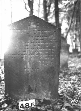 Grabstein 485 (Index: 99900933) Material: Sandstein Zustand: leicht angewittert Maße HxBxT: 109x57x12 cm Beschreibung: Stele mit Dreiecksabschluss: Grabstein 485