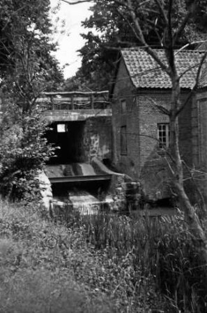 Glinder Mühle: rechts Mühlengebäude: links Mühlenwehr der Glinder Au: darüber Geländer: vorn Schilf: rechts und links sowie hinten Bäume