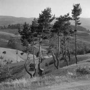 Landschaftsbild der bulgarischen Rhodopen