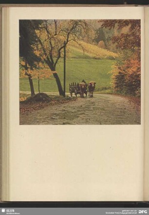 Herbst