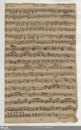Violino secundo