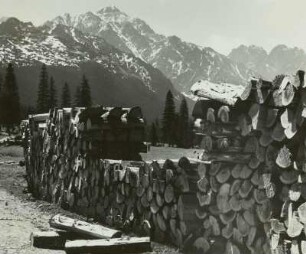 Hohe Tatra. Javorova dolina oh.v. Javorina gegen Ladovy stit (Eisseespitze) 2630 m.