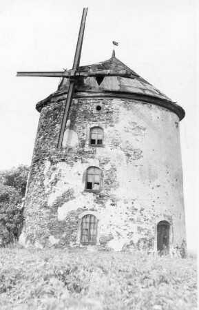Lampertswalde-Adelsdorf. Turmholländer