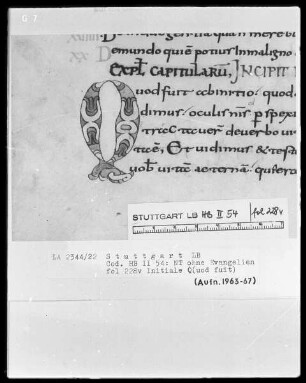 Bibliorum pars finalis, Pauli epistolae, Actus apostolorum, Epistolae canonicae, Apocalypsis — Initiale Q(uod fuit), Folio 228verso