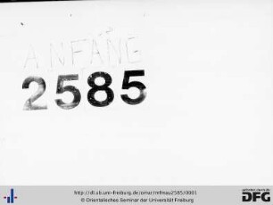 MF Mau 2585