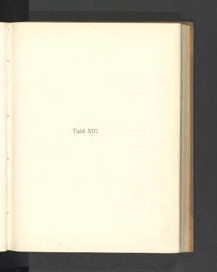 Tafel XIII.