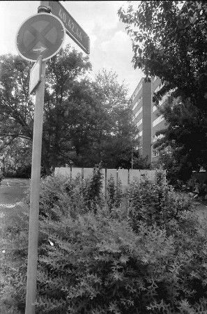 Freiburg; Landwasser: Straßenschild zwischen Blumen