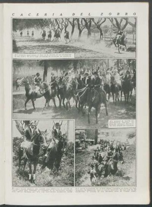 Cacería del Zorro
