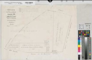Rheine r.d. Ems (Rheine), Teilung der Elter Mark, Bl.2 Reinkarte