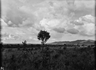 Sandstein Serra : Sandsteingebirge im Bundesstaat Goiás.