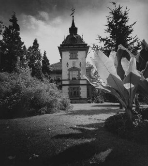 Archivfotografie "bodensee_radolfszell_19594"