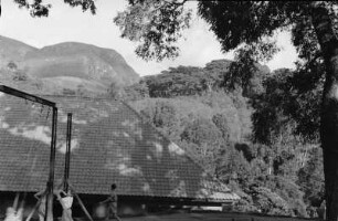 Dach einer deutschen Schule : Blick auf das Dach der deutschen Schule von Lushoto; dahinter Wald.