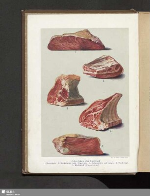 Ochsenfleisch oder Rindfleisch