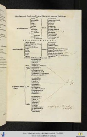 Mensurarum et ponderum typi ad Dioscoridis mentem. Ex Galeno.