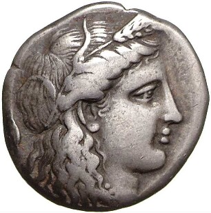 Metapont