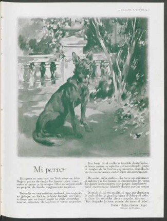Mi perro : Dibujo de Peláez