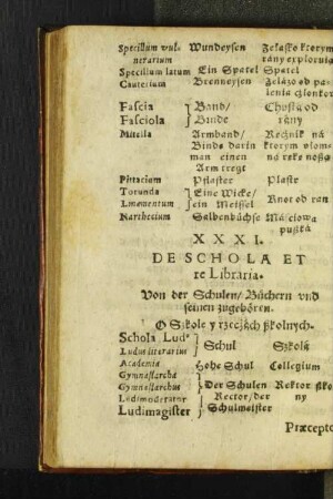 XXXI. De Schola Et re Libraria.