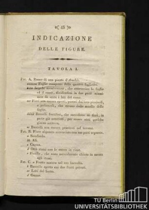 Indicazione delle figure.