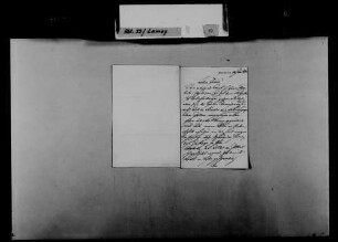 Schreiben von Carl Eckhard, Mannheim, an August Lamey: Betrachtungen über Zeitungsartikel von Franz Thorbecke.