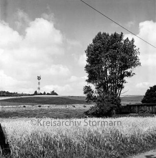 Klingberg: Blick auf den Fernmeldeturm: rechts Baracke mit Bäumen: hinten links Weide mit Rindern: vorn Getreidefeld