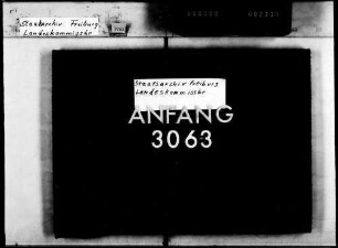 Deutscher Verein für Armenpflege und Wohltätigkeit (später: Deutscher Verein für öffentliche und private Fürsorge)