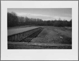 Buchenwald