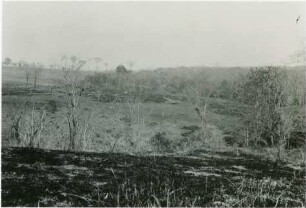 Panoramablick über die durch Diabas erhaltene und gut ausgebildete Terrassenlandschaft am Rio São José dos Dourados : 4,18 km von Santo Antônio entfernt, Höhe: 345 m
