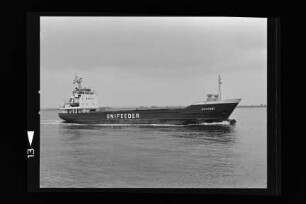 Coronel ex Christel (1978), Rohden