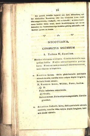 Nicotinana. Conspectus Specierum
