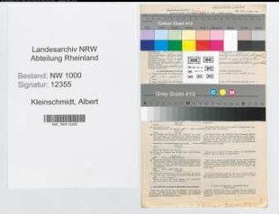 Entnazifizierung Albert Kleinschmidt, geb. 23.01.1892 (Versich.Vertreter)