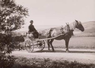 Schweden, Insel Frösö, Gespann, zweirädriger Karren