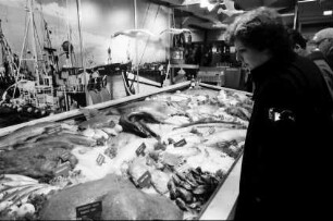 Basel: Fische