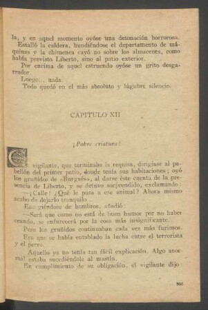 Capítulo XII - ¡Pobre criatura!
