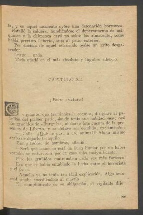 Capítulo XII - ¡Pobre criatura!