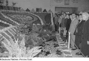 Besucher an einem Stand mit agrarischen Erzeugnissen, Herbstmesse 1953