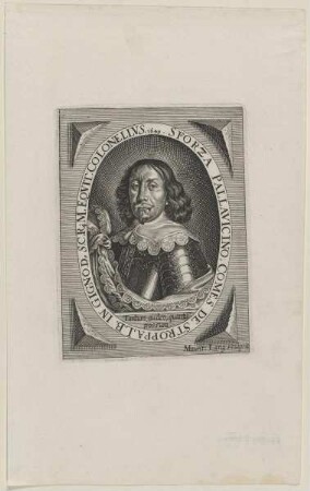 Bildnis des Sforza Pallavicino de Stroppa