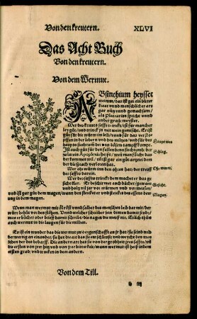 Das Acht Buch Von den kreutern.