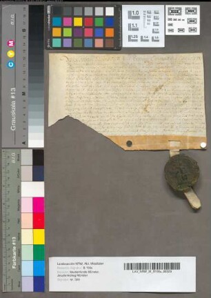 Freibrief [Hasken Kotten im Kirchspiel Ölde].
