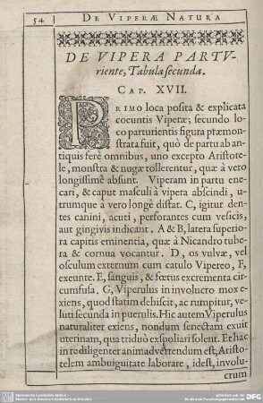 De Vipera Parturiente, Tabula secunda. Cap. XVII.