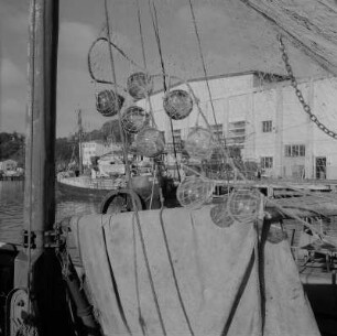 Saßnitz. Fischereihafen mit Fischerbooten