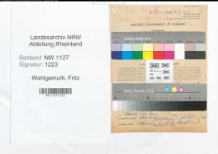 Entnazifizierung Fritz Wohlgemuth , geb. 11.04.1899 (Kaufmaennischer Angestellter)