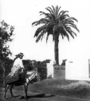 Teneriffa