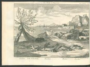 Tafel: La Pêche à l'Epervier.