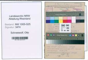 Entnazifizierung Otto Schneewolf , geb. 29.11.1914 (Kaufm.Angestellter)