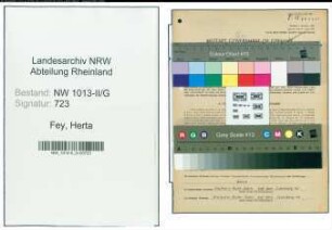 Entnazifizierung Herta Fey , geb. 13.01.1920 ()