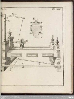Pars. 1. Tab. XIV.